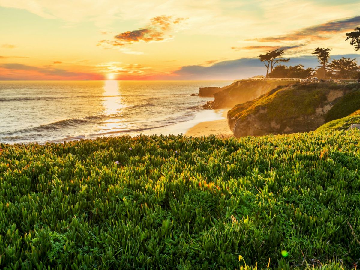 A golden sunset over the ocean, with grassy cliffs, waves washing a sandy beach, and coastal trees silhouetted against the sky.