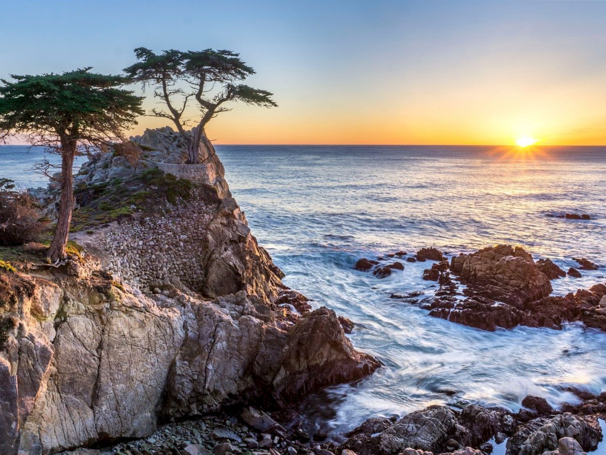 A lone windswept tree stands on a rocky seaside cliff as waves roll in under a glowing sunset sky.