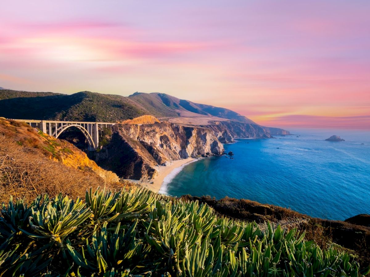 Sunset over a cliffside coast: an arched bridge spans the gorge, sandy beach and waves below, with green plants in front.