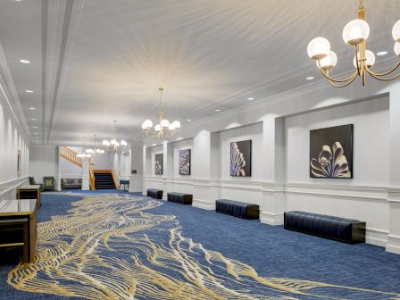 Hayes Mansion San Jose, Curio Collection by Hilton