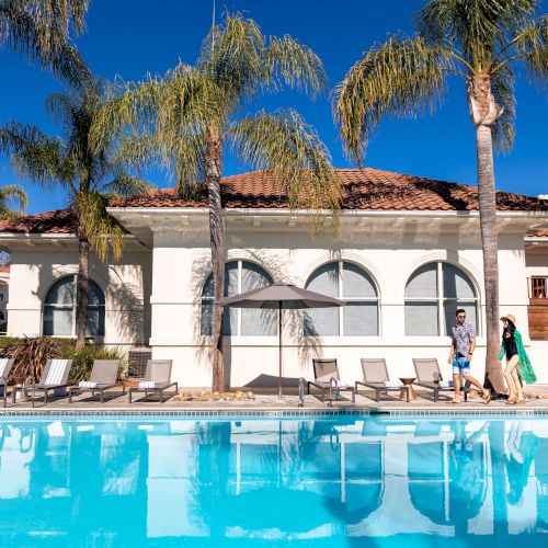 A sunny resort with a blue pool, palm trees, lounge chairs, and a white building with large arched windows in the background.