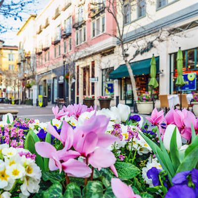 Colorful street scene with blooming flowers in the foreground and pastel storefronts lining a sunny, pedestrian-friendly avenue.