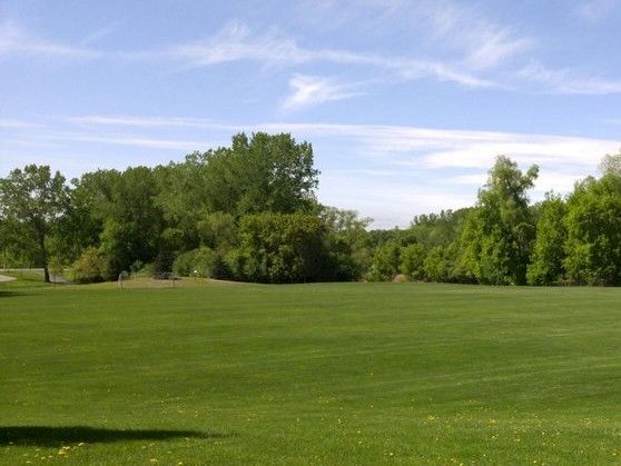 A lush green golf course fairway stretches out under a bright blue sky, bordered by dense trees and scattered yellow flowers.